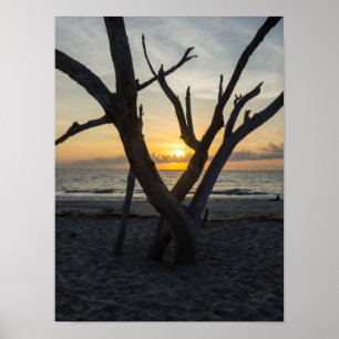 Póster Un amanecer insensato