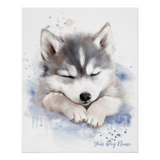 Póster Un ángel muy lindo durmiendo perrito Siberian Husk