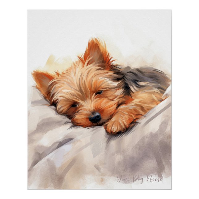 Póster Un ángel muy lindo durmiendo perrito Yorkshire Ter (Anverso)