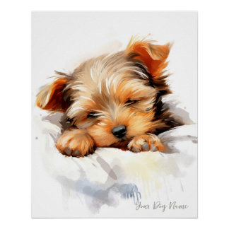 Póster Un ángel muy lindo durmiendo perrito Yorkshire Ter