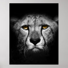 Póster Un animal africano exótico