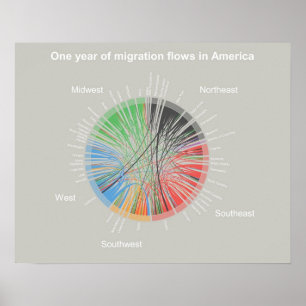 Póster Un año de flujos migratorios en Estados Unidos