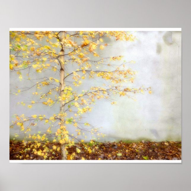 Póster Un árbol (Frente)