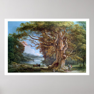 Póster Un árbol de haya antiguo, 1794 (aceite en lona)