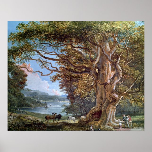 Póster Un árbol de haya antiguo, 1794 (aceite sobre lienz (Frente)