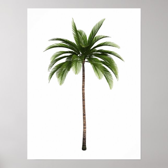 Póster Un árbol de palmas tropical de la isla de la playa (Frente)