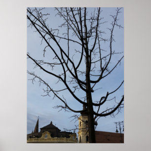 Póster un árbol en ciernes