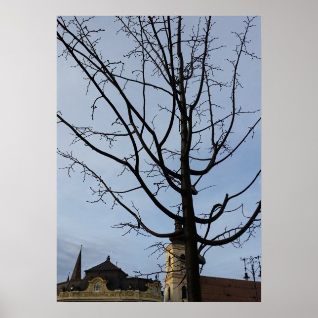 Póster un árbol en ciernes (Frente)