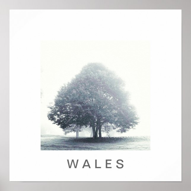 Póster Un árbol en la niebla (Frente)