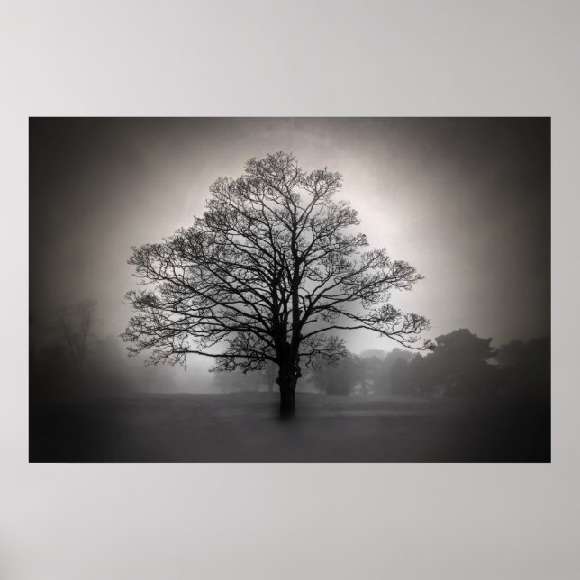 Póster Un árbol en la niebla (Frente)