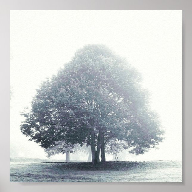 Póster Un árbol en la niebla (Frente)