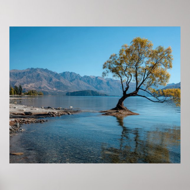 Póster Un árbol en un lago (Frente)