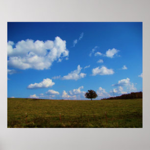 Póster Un árbol solitario