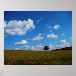 Póster Un árbol solitario