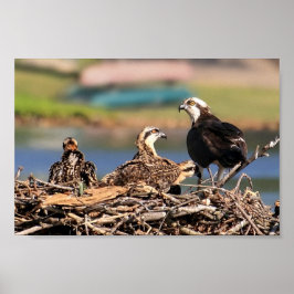 Póster un asunto familiar