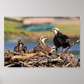 Póster un asunto familiar