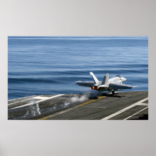 Póster Un avispón estupendo de F/A-18E