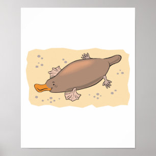 Póster un bonito platypus en la arena