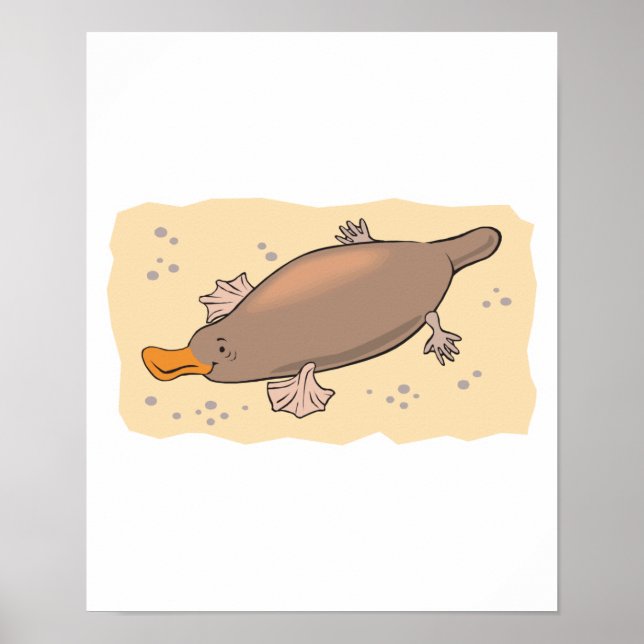 Póster un bonito platypus en la arena (Frente)