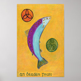 Póster Un Bradan Feasa