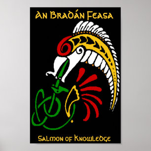 Póster Un BradPáramo en Feasa - El Salmón del Conocimient