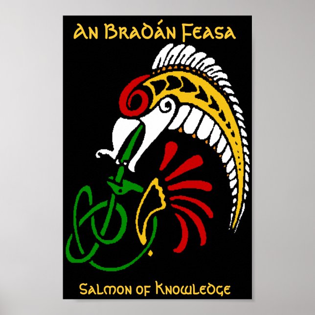 Póster Un BradPáramo en Feasa - El Salmón del Conocimient (Frente)