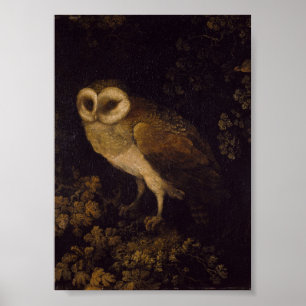 Póster Un búho por Moses Haughton el Viejo