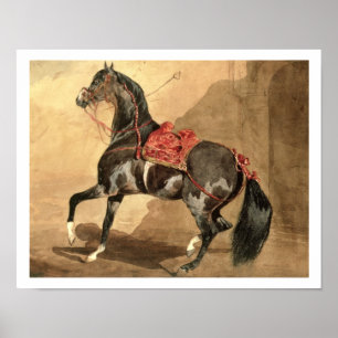 Póster Un caballo árabe (w/c colocado en el papel)