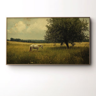 Póster Un caballo blanco pastando en un campo