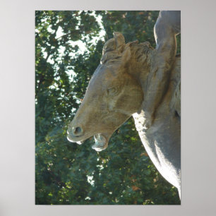 Póster Un caballo de la fuente Plaza