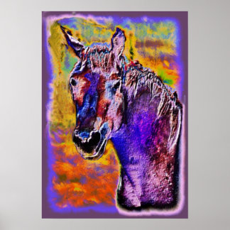 Póster Un caballo de muchos colores