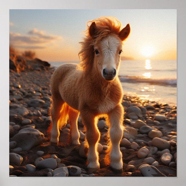 Póster Un caballo joven con una forma de rizos fluidos (Frente)