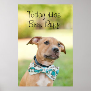 Póster Un Cachorro Marrón Lleva Una Colorida Veta De Bow