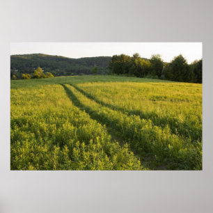 Póster Un camino de granja en Sabins Pastel en Montpelier