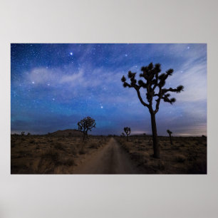 Póster Un camino desierto y árboles de Joshua de noche