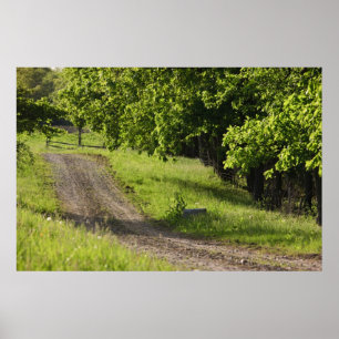 Póster Un camino rural en Ipswich, Massachusetts.