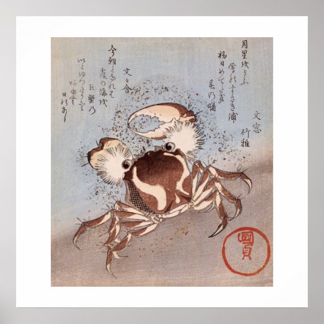 Póster Un cangrejo a orillas del mar (Frente)