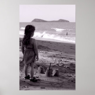 Póster Un castillo junto al mar