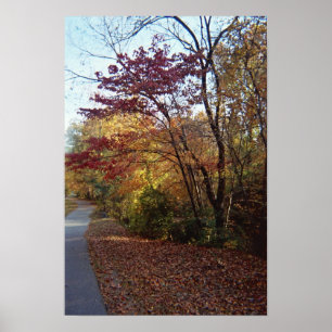 Póster Un cenador hermoso