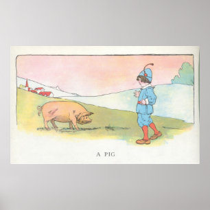 Póster Un cerdo