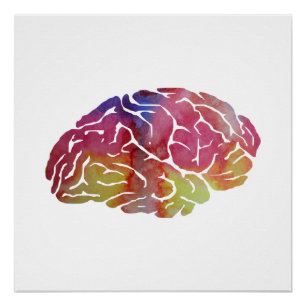 Póster Un cerebro