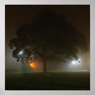 Póster Un césped anti-niebla