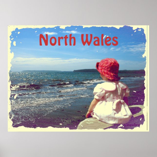 Póster Un Chica a orillas del mar (Frente)