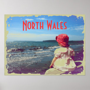 Póster Un Chica a orillas del mar