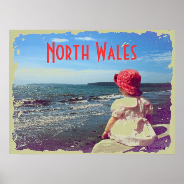 Póster Un Chica a orillas del mar (Frente)