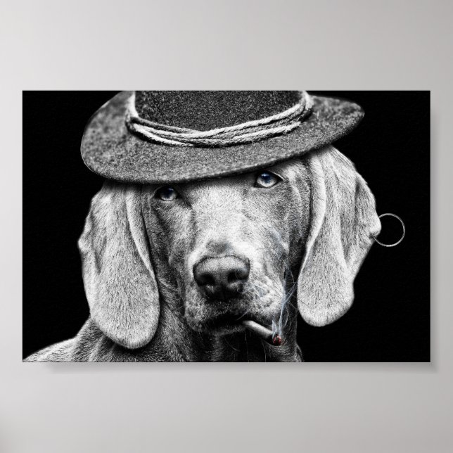 Póster Un chien chic dans un chapeau punk. (Frente)