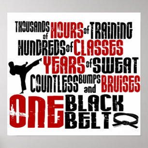 Póster UN cinturón negro 2