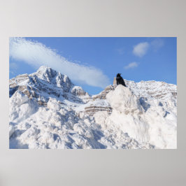 Póster Un cuervo en Crowfoot Mountain Alberta Canada