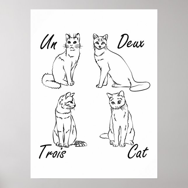 Póster Un Deux Trois Cat Gracioso Francés (Frente)