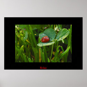 Póster Un día afortunado del St. Patricks